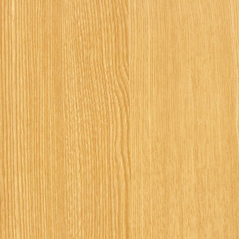 Nデイリーアッシュ